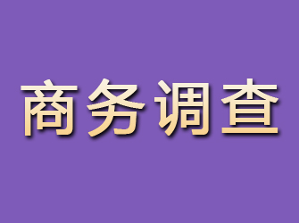 大通商务调查